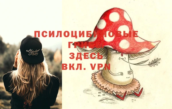 первитин Заволжье