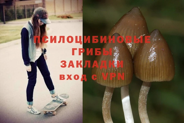 ALPHA PVP Аша
